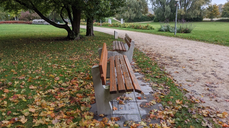 two benches in a park in autumn that point in different directons
