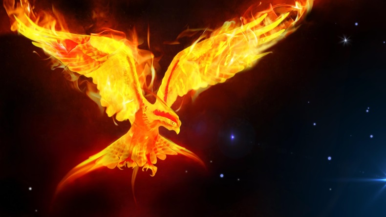 Phoenix bird flames wings space