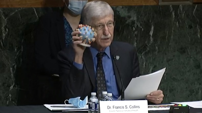 NIH Director Francis Collins displays a 3D model of the coronavirus during testimony at a US Senate Appropriations Committee hearing on 2 July 2020.