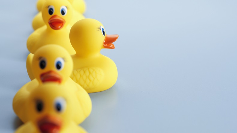 A row of yellow rubber ducks with one of the ducks facing in a different direction all the other duck are facing. The focus is on the duck facing in a different direction.