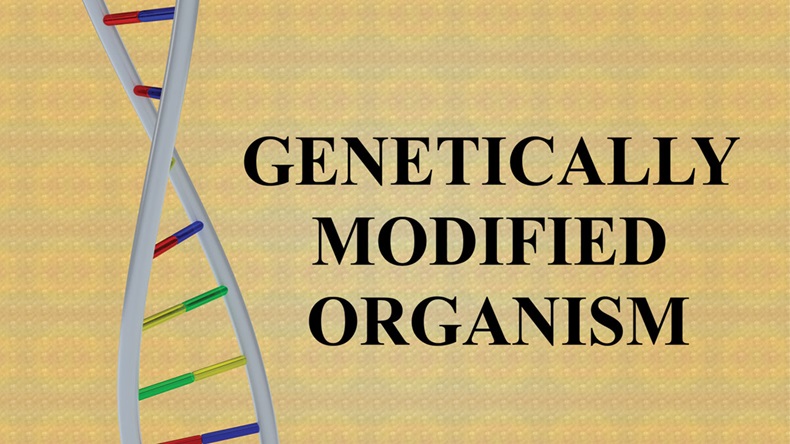 3D illustration of GENETICALLY MODIFIED ORGANISM script with DNA double helix, isolated on colored gradient.