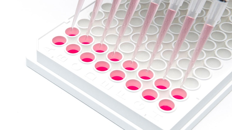 In vitro cellular assay using multi pipette and 96 well white plate - Image 