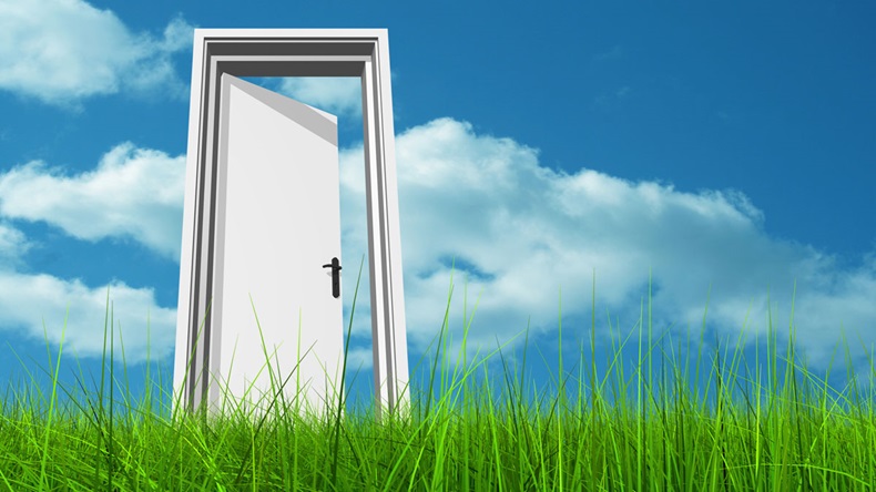 High resolution green, fresh and natural 3d conceptual grass over a blue sky background, a opened door at horizon ideal for religion,home,recreation,faith,business,success,oportunity or future 
