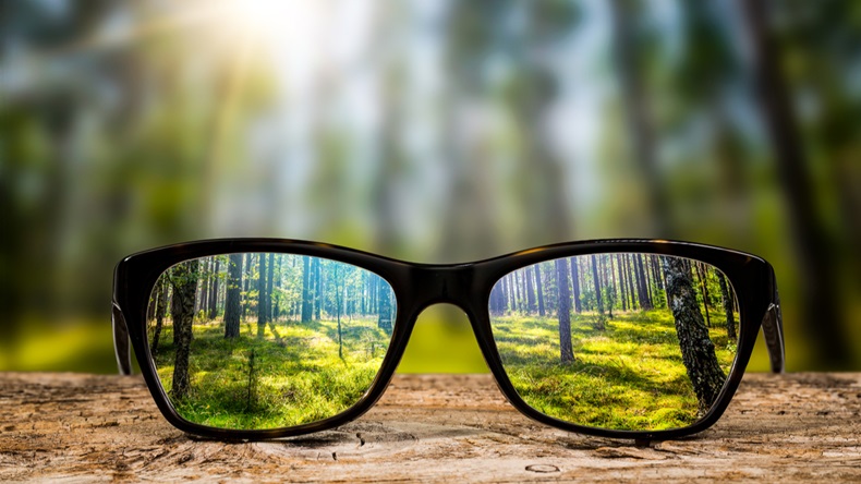 eye-glasses-forest