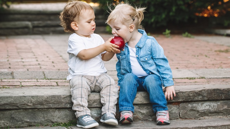 Group portrait of two white Caucasian cute adorable funny children toddlers sitting together sharing eating apple food, love friendship childhood concept, best friends forever - Image 