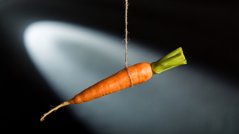 Carrot lure on a string