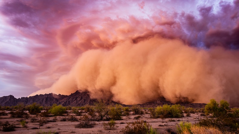Haboob dust storm in the Arizona desert