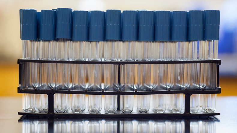 A rack containing empty test tubes in a microbiology lab.