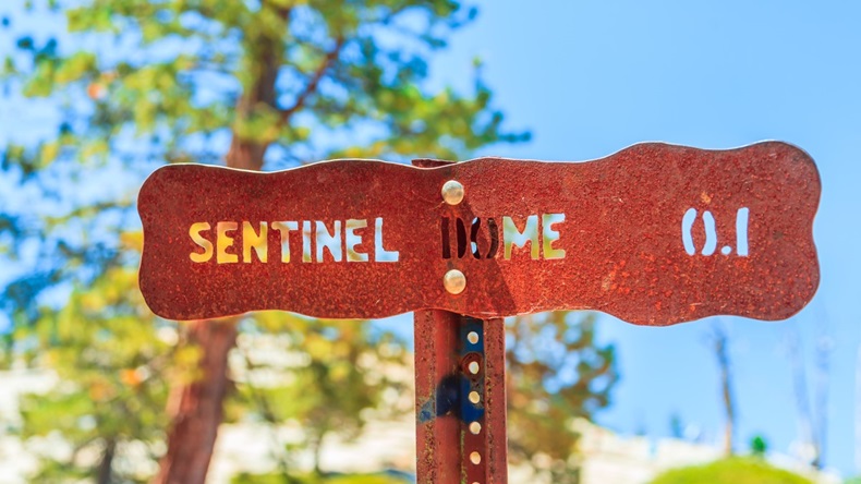 Sentinel Sign