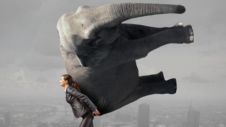 Woman holding elephant