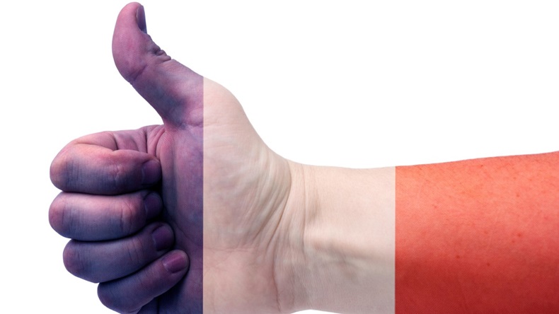 The concept of France-the hand gives a thumbs up with the flag of France.