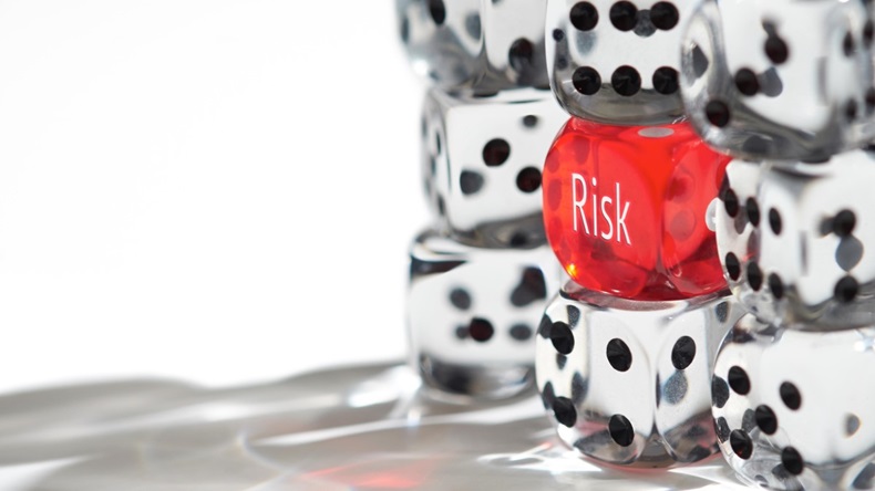 Risk management dice