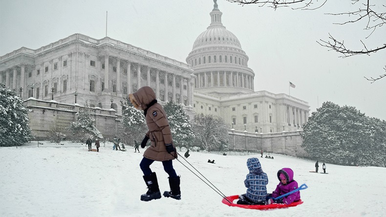 Pulling a sled at the capitol (Nielsen Hobbs; the Pink Sheet |Alamy, Shutterstock images)