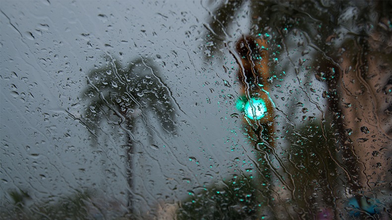 April Showers Bring Green Lights