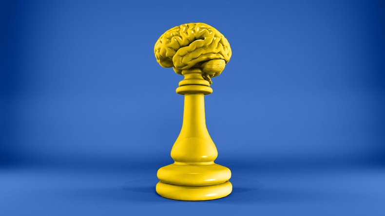 CMS chess brain