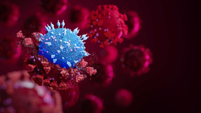 Mutated coronavirus SARS-CoV-2 flu disease pandemic
