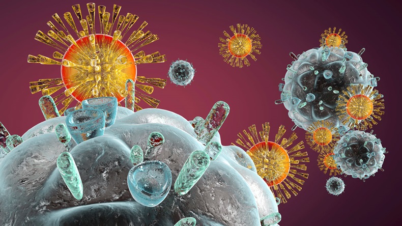 Immune system attacking HIV