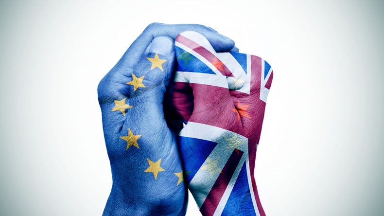 EU & UK painted hands