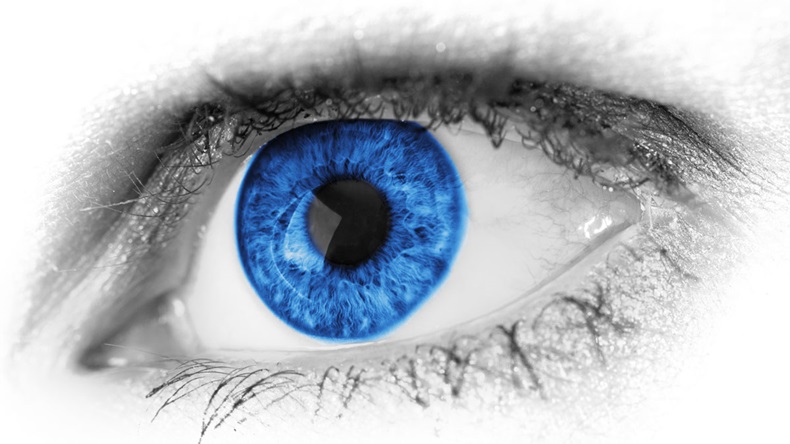 Blue eye detail