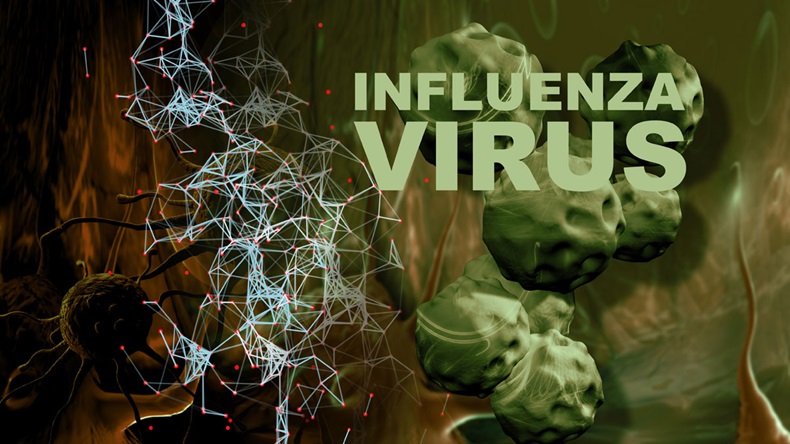 Illustration of Influenza Virus cells - High Quality 3D Render