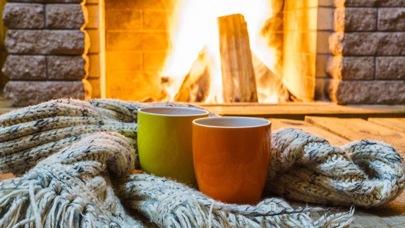 Cozy fireplace-mugs_736970248_1200.jpg