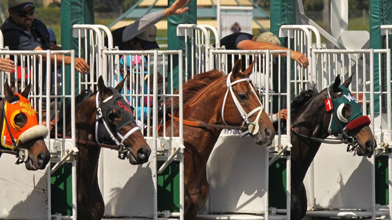 Editorial use only - ARCADIA, CA - MAR 20: Horses break from the gate in an allowance race at Santa Anita Park on Mar 20, 2010 in Arcadia, CA
