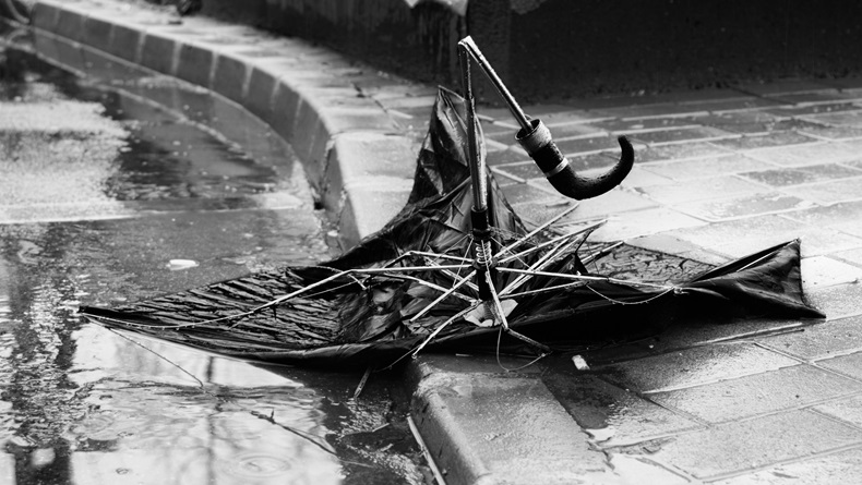 mangled umbrella